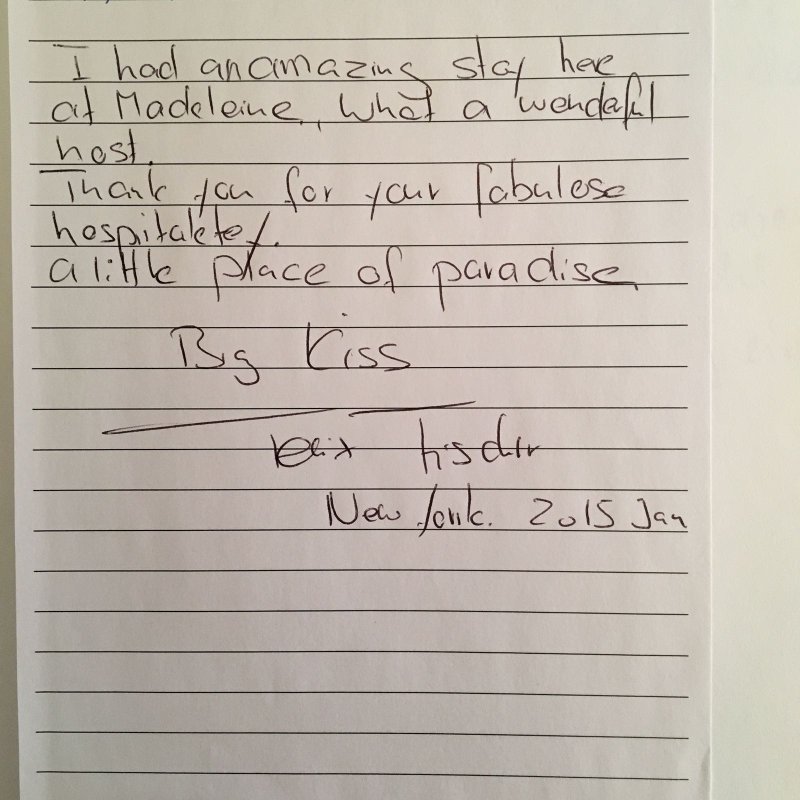 guest_review_02800